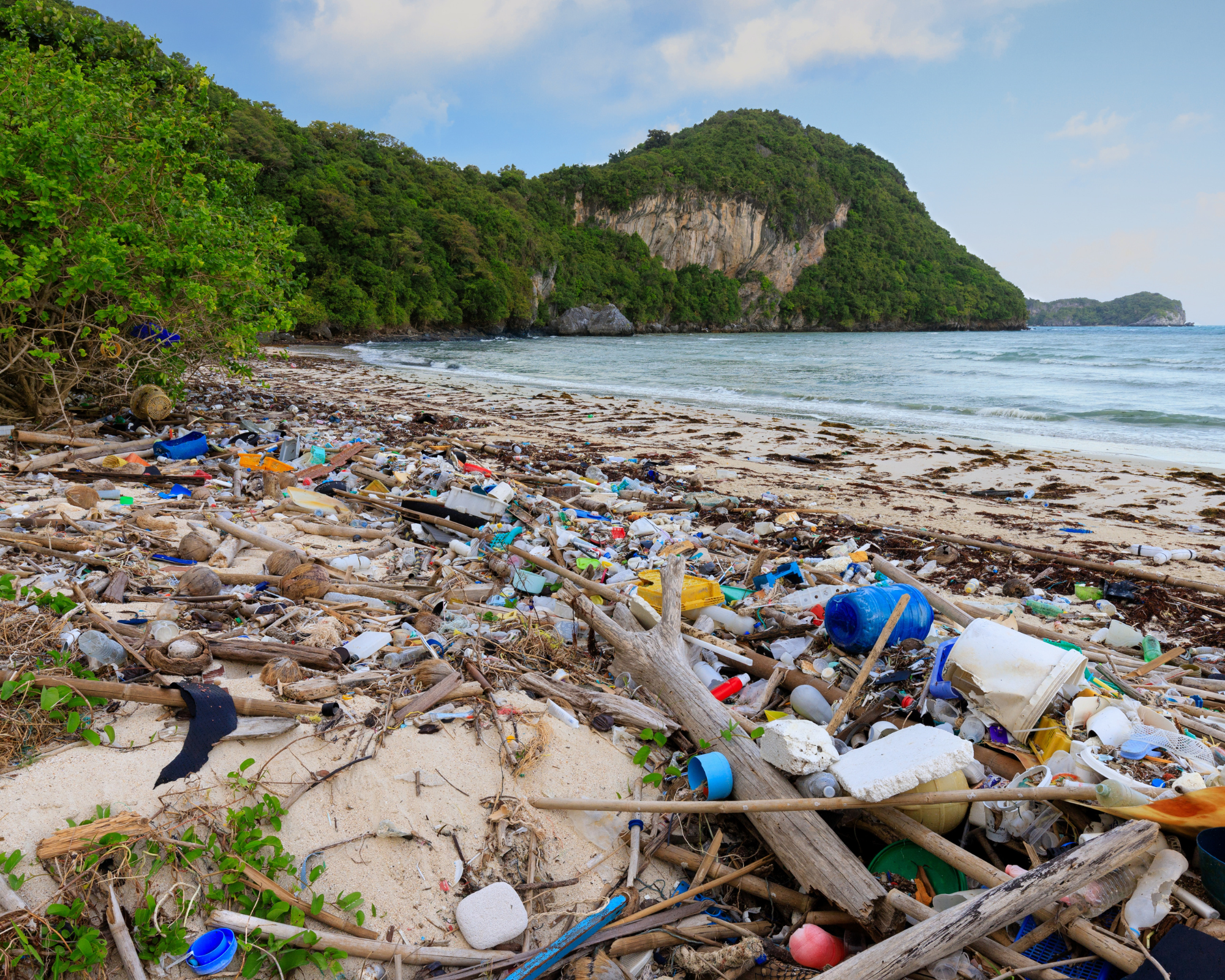 Go Plastic-Free This July: Join Us in Protecting Our Oceans